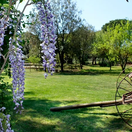 Agriturist Prile Farm stay *